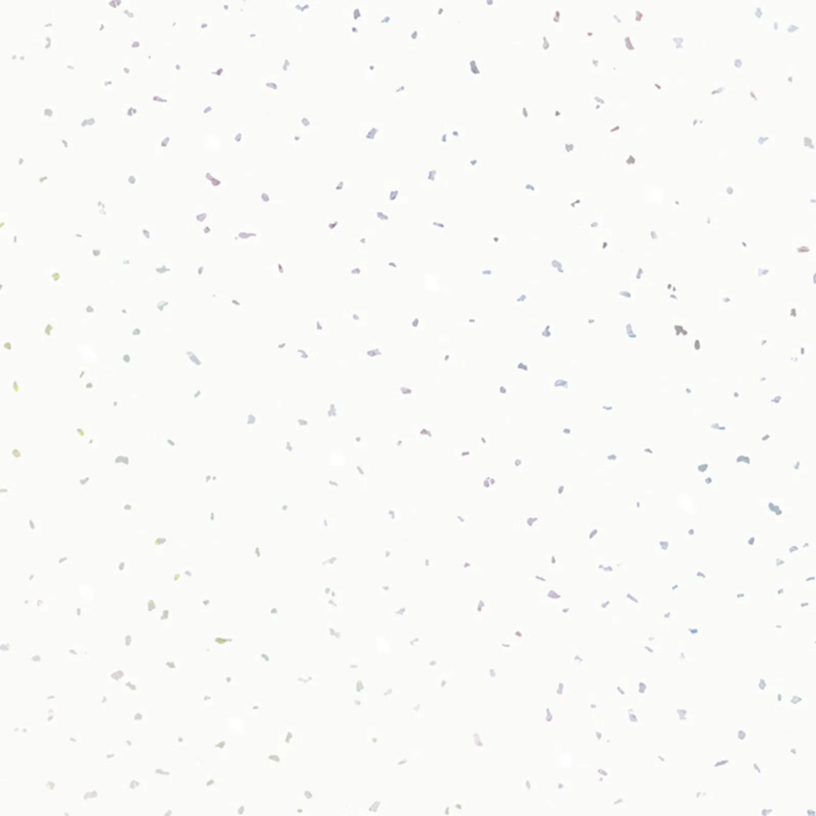 PVC Wall Panel - 2400mm x 1000mm x 10mm - Image 16