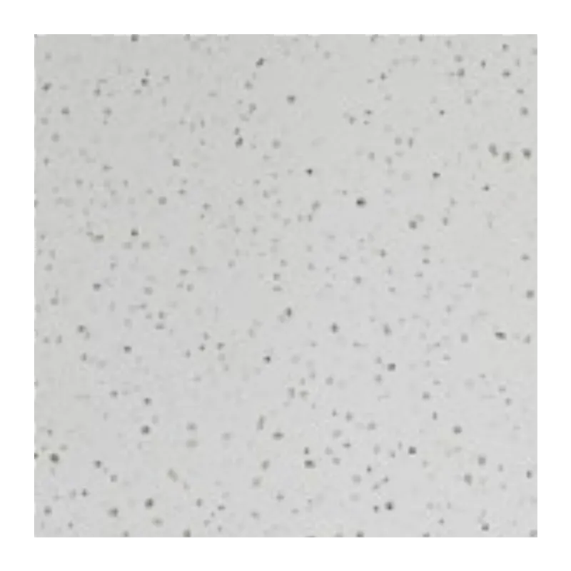 PVC Wall Panel - 2400mm x 1000mm x 10mm - Image 29