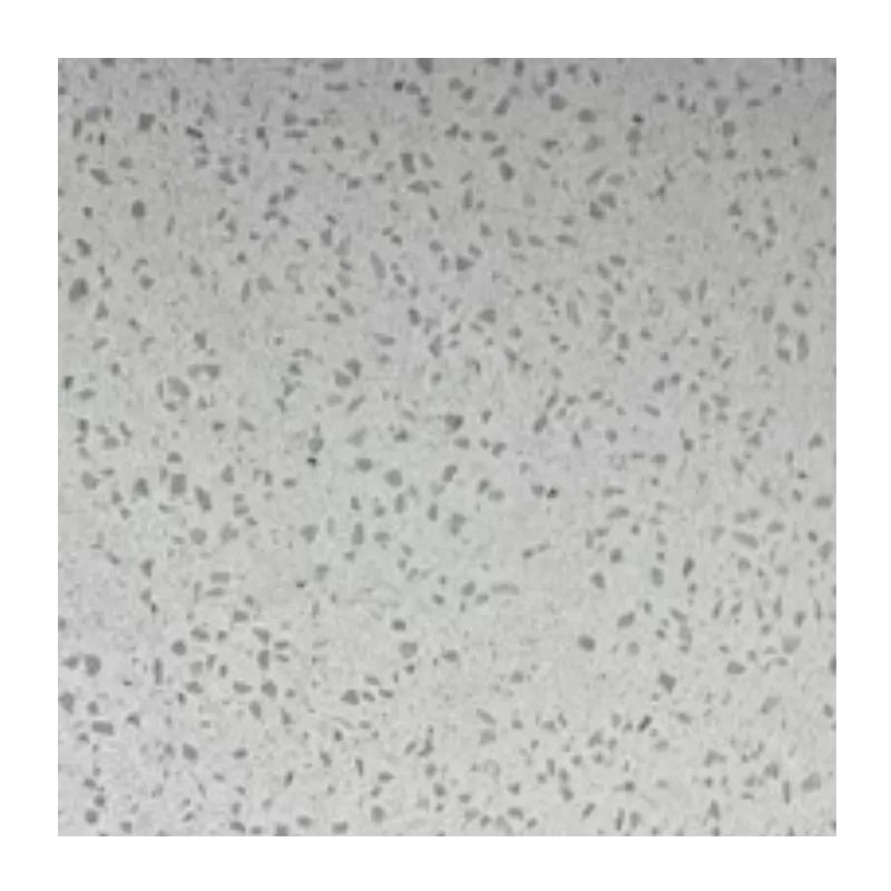 PVC Wall Panel - 2400mm x 1000mm x 10mm - Image 30